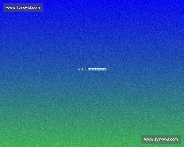 WRC U 型弯:方寸之间的策略博弈 WRC U 型弯:方寸之间的策略博弈